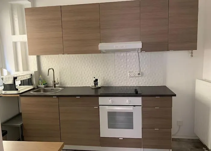 Schoene Altbauwohnung In Ost Ostendplatz Апартаменты *