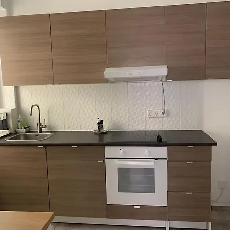 Gemuetliche Altbauwohnung In Ostendplatz Apartment *